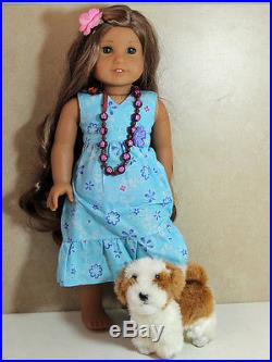 American Girl Doll, GOTY 2011 Kanani Jinx Paddleboard Accessories