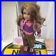 American Girl Doll Marisol Luna Brown Hair Brown Eyes Medium Skin