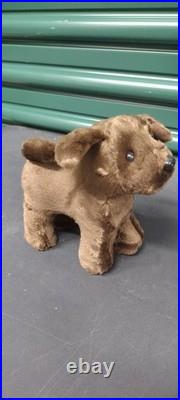 American Girl, Journey Girls Clothes, Dogs, Bag and Accessories, Sunglasses