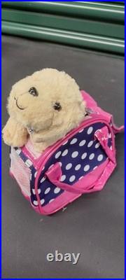 American Girl, Journey Girls Clothes, Dogs, Bag and Accessories, Sunglasses