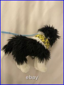 American Girl Saige Copeland 18 Doll Girl of The Year 2013 with pierced ears