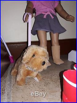 American girl doll with accessories
