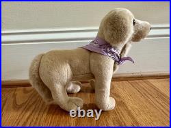 KAILEY HOPKINS GOTY 2003 American Girl Doll Meet Kailey Hopkins With Box Dog +++