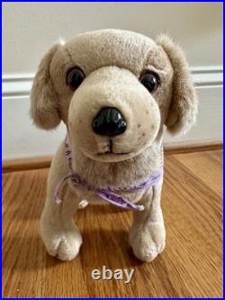 KAILEY HOPKINS GOTY 2003 American Girl Doll Meet Kailey Hopkins With Box Dog +++