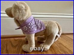 KAILEY HOPKINS GOTY 2003 American Girl Doll Meet Kailey Hopkins With Box Dog +++