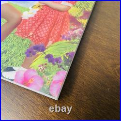 Nanea Mitchell Doll American Girl Book Meet Accessories Box Outfit 2017