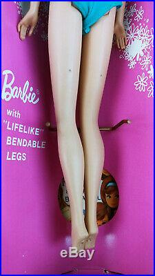 Silver Ash Brunette AMERICAN GIRL Barbie Doll Long Hair High Color in Box Access