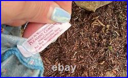 Vintage PLEASANT COMPANY American Girl KIRSTEN DOLL
